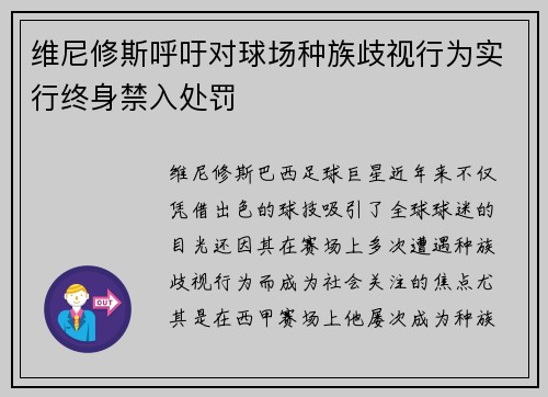 维尼修斯呼吁对球场种族歧视行为实行终身禁入处罚